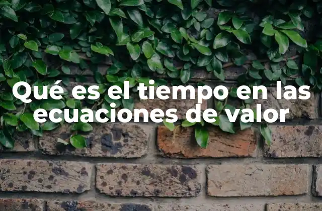 Qué es el Tiempo en las Ecuaciones de Valor