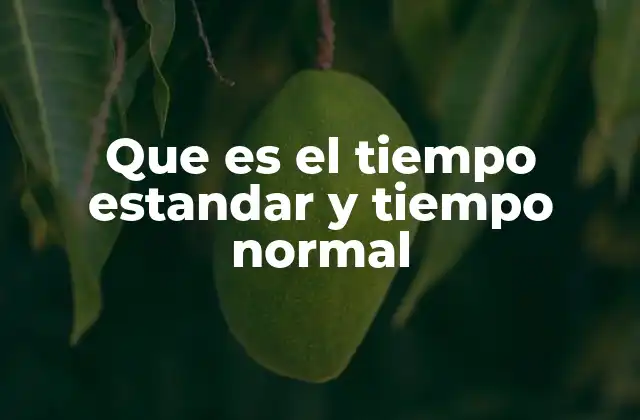 Que es el Tiempo Estandar y Tiempo Normal