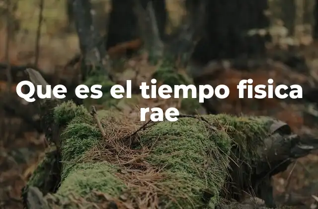 Que es el Tiempo Fisica Rae