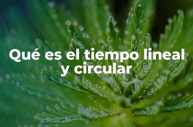 Qué es el Tiempo Lineal y Circular