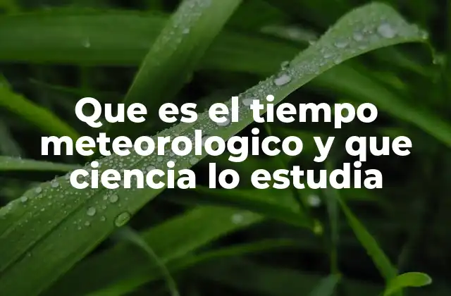 Que es el Tiempo Meteorologico y que Ciencia Lo Estudia