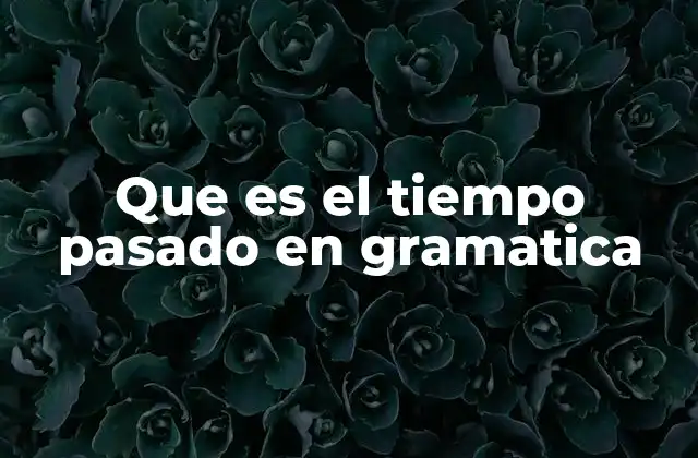Que es el Tiempo Pasado en Gramatica