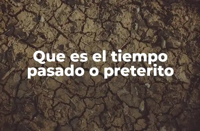 Que es el Tiempo Pasado o Preterito