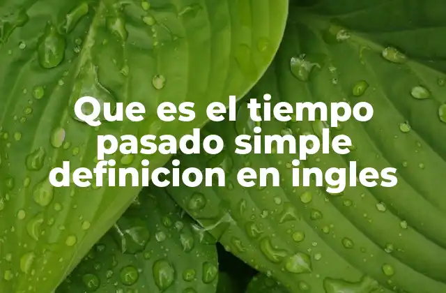 Que es el Tiempo Pasado Simple Definicion en Ingles