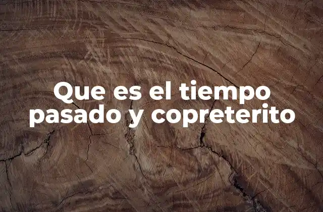 Que es el Tiempo Pasado y Copreterito