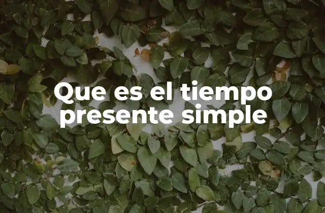 Que es el Tiempo Presente Simple
