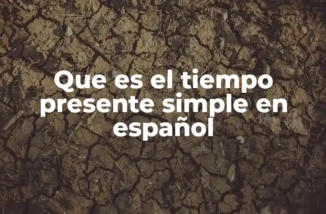 Que es el Tiempo Presente Simple en Español