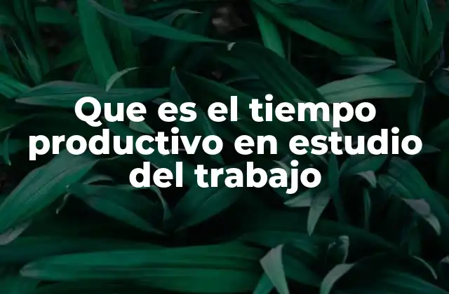 Que es el Tiempo Productivo en Estudio Del Trabajo