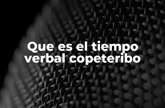 Que es el Tiempo Verbal Copeteribo