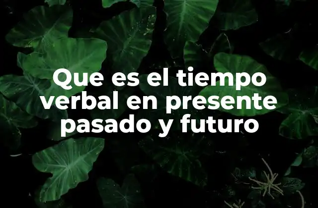 Que es el Tiempo Verbal en Presente Pasado y Futuro
