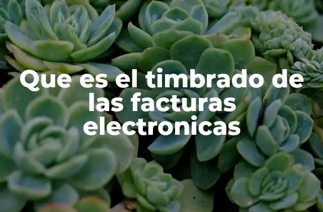 Cómo el timbrado respalda la integridad fiscal en las empresas