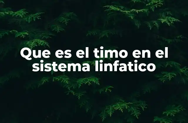 Que es el Timo en el Sistema Linfatico