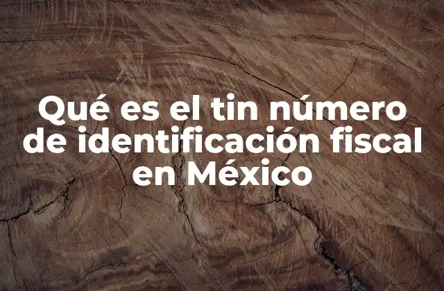 Qué es el Tin Número de Identificación Fiscal en México