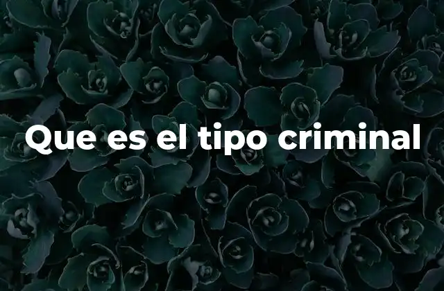 Que es el Tipo Criminal