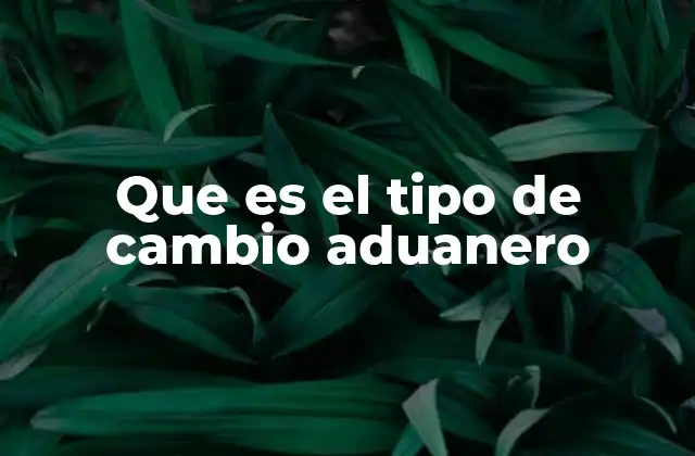 Que es el Tipo de Cambio Aduanero