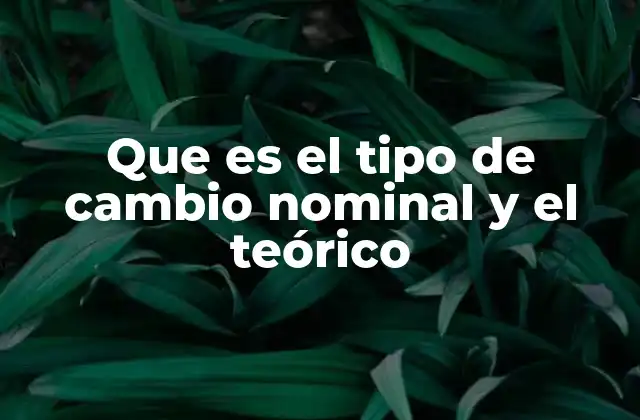 Que es el Tipo de Cambio Nominal y el Teórico