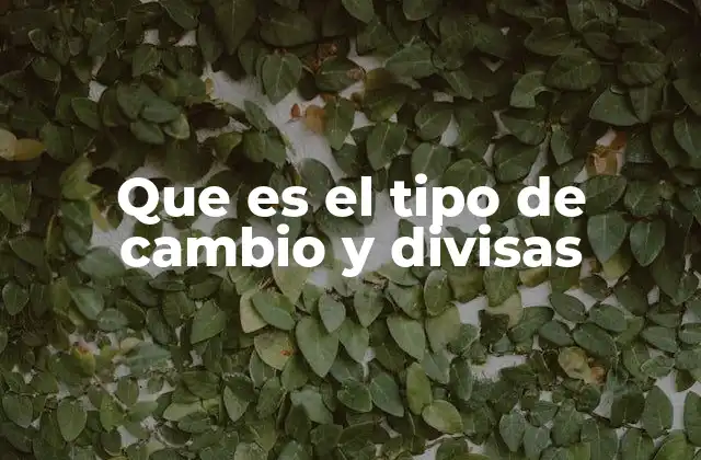 Que es el Tipo de Cambio y Divisas