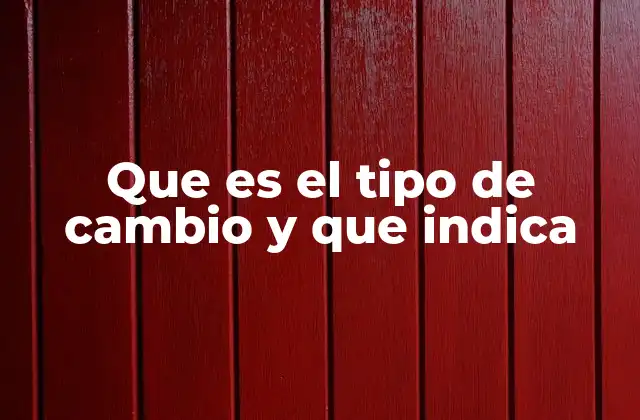 Que es el Tipo de Cambio y que Indica