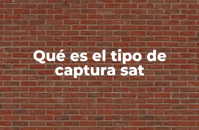 La importancia de la conexión con satélites