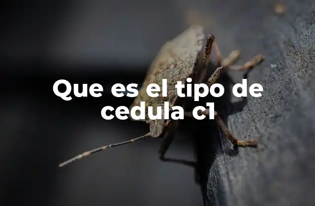 Que es el Tipo de Cedula C1 2 Características principales de la cédula tipo C1