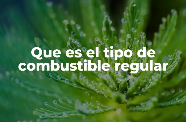 Que es el Tipo de Combustible Regular