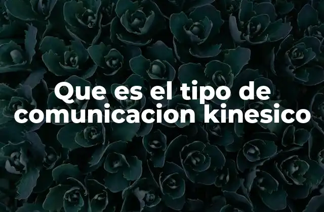 Que es el Tipo de Comunicacion Kinesico
