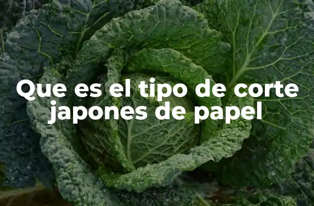 Que es el Tipo de Corte Japones de Papel