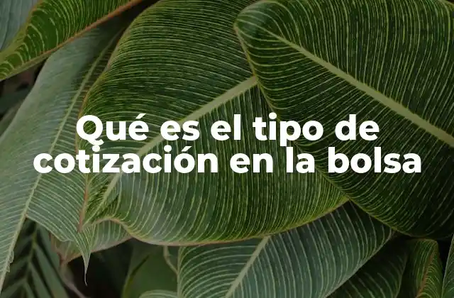 Qué es el Tipo de Cotización en la Bolsa
