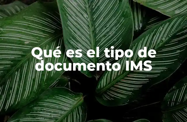 La importancia de la documentación en la gestión integrada