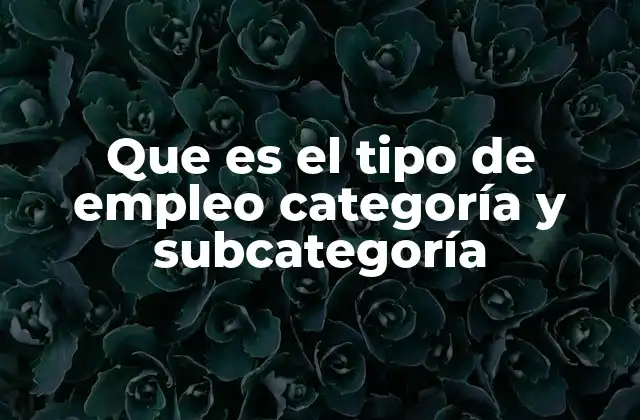 Que es el Tipo de Empleo Categoría y Subcategoría