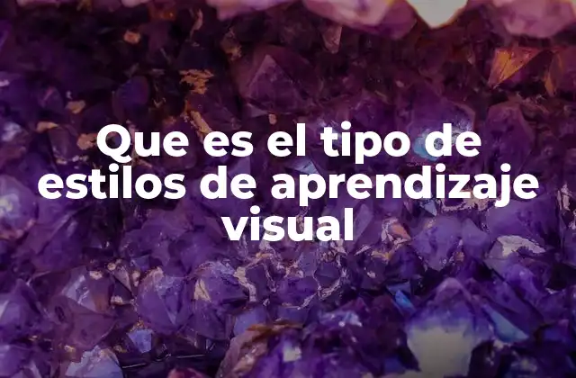 Que es el Tipo de Estilos de Aprendizaje Visual