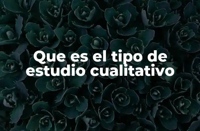 Que es el Tipo de Estudio Cualitativo