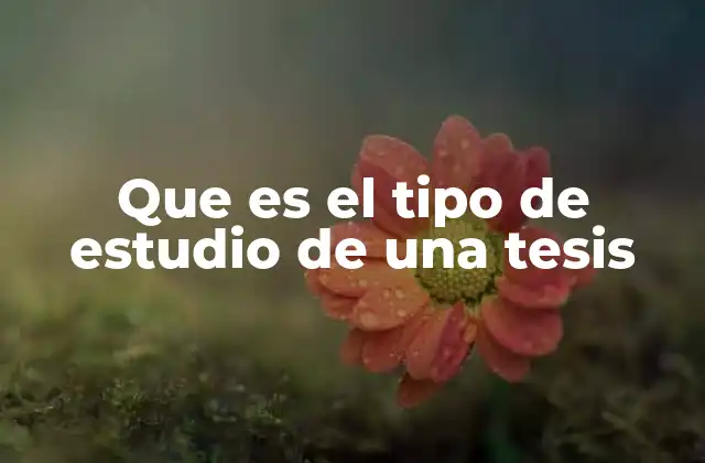 Que es el Tipo de Estudio de una Tesis
