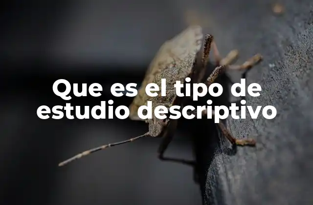 Que es el Tipo de Estudio Descriptivo