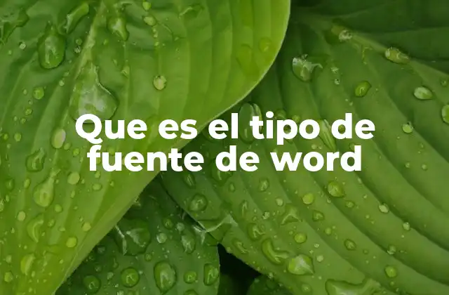 Que es el Tipo de Fuente de Word