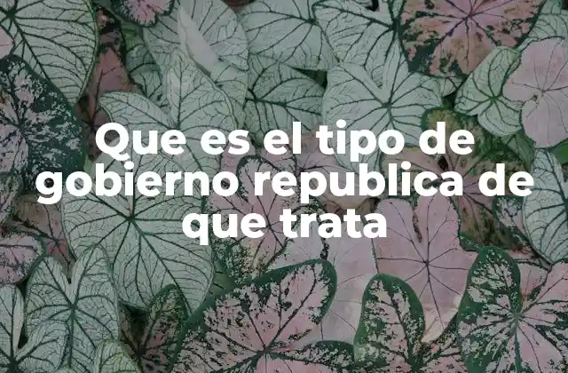 Que es el Tipo de Gobierno Republica de que Trata