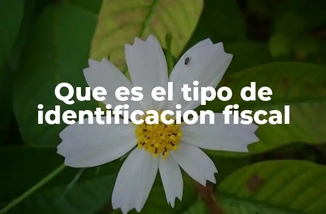 Que es el Tipo de Identificacion Fiscal