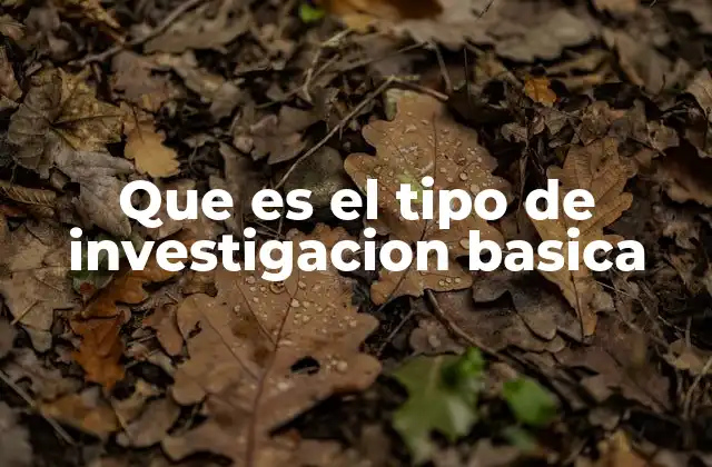 Que es el Tipo de Investigacion Basica