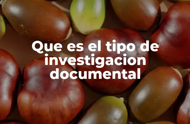 Que es el Tipo de Investigacion Documental
