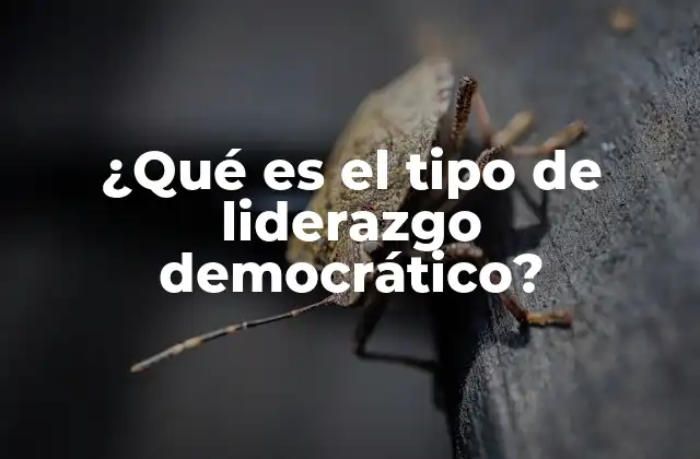 ¿qué es el Tipo de Liderazgo Democrático? 2 Cómo fomenta el liderazgo democrático la participación activa en el equipo