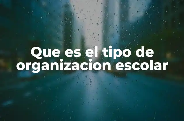 Que es el Tipo de Organizacion Escolar