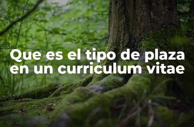 Que es el Tipo de Plaza en un Curriculum Vitae
