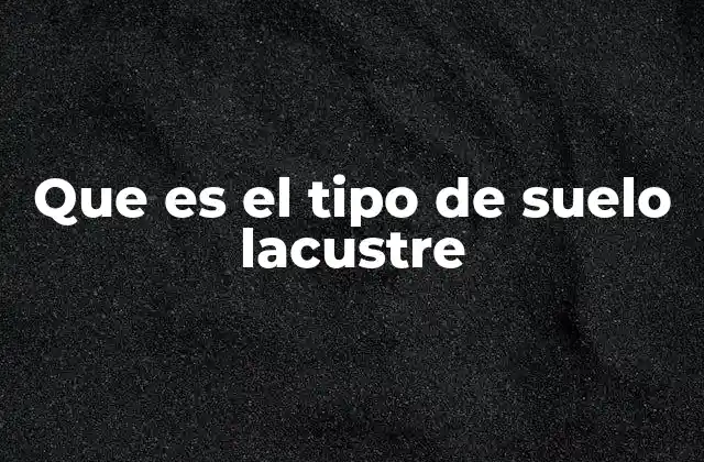 Origen y formación de los suelos lacustres