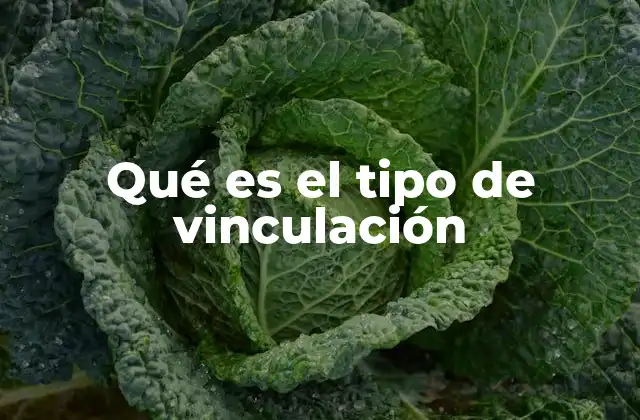 Qué es el Tipo de Vinculación