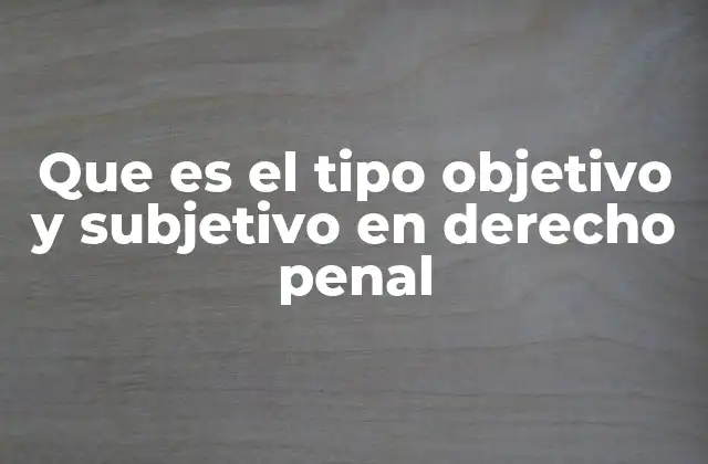 Que es el Tipo Objetivo y Subjetivo en Derecho Penal