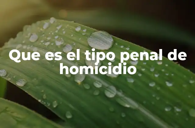 Que es el Tipo Penal de Homicidio