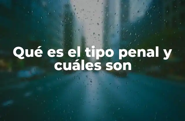 Qué es el Tipo Penal y Cuáles Son
