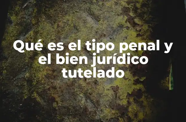 Qué es el Tipo Penal y el Bien Jurídico Tutelado