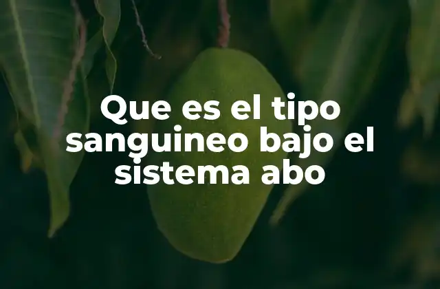 Que es el Tipo Sanguineo bajo el Sistema Abo
