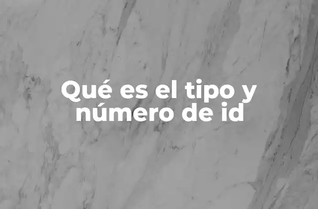 La importancia de la identificación única en sistemas digitales